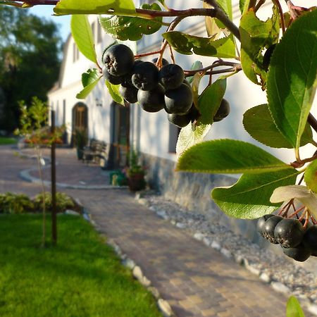 Aronia Park Βίλα Lubiechowa Εξωτερικό φωτογραφία