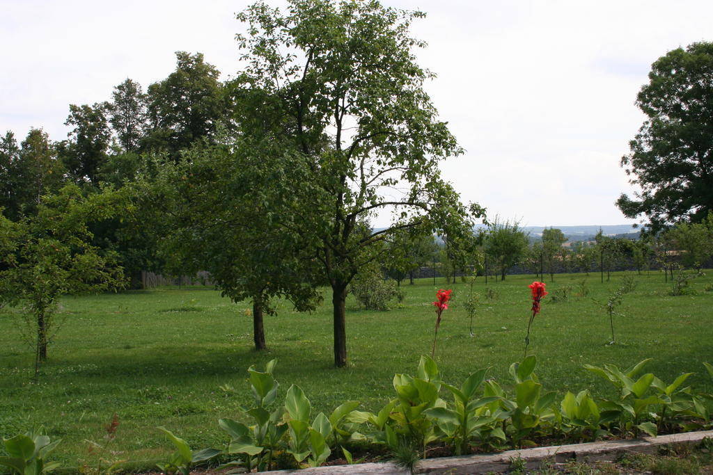 Aronia Park Βίλα Lubiechowa Εξωτερικό φωτογραφία