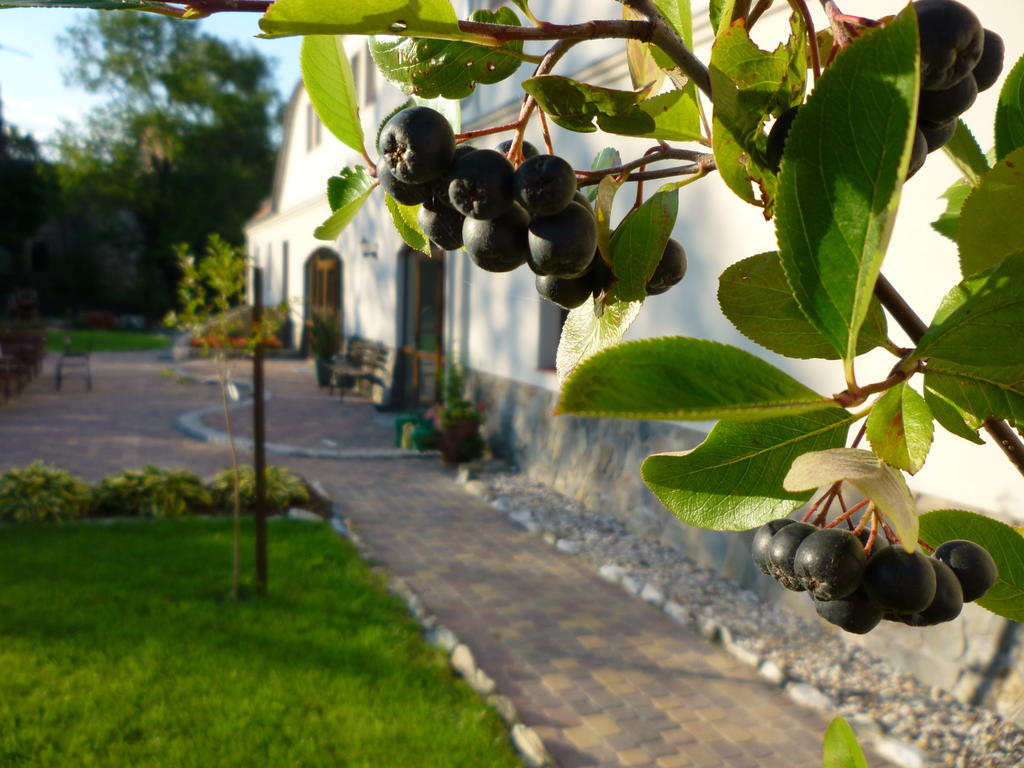 Aronia Park Βίλα Lubiechowa Εξωτερικό φωτογραφία